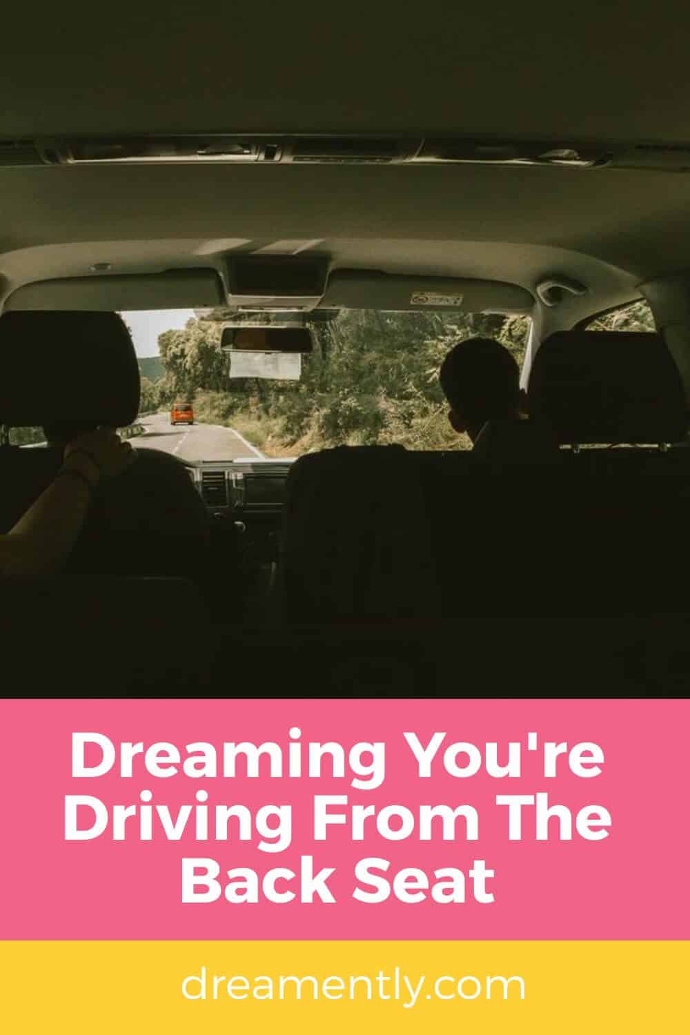 Dreaming You're Driving From The Back Seat (1)