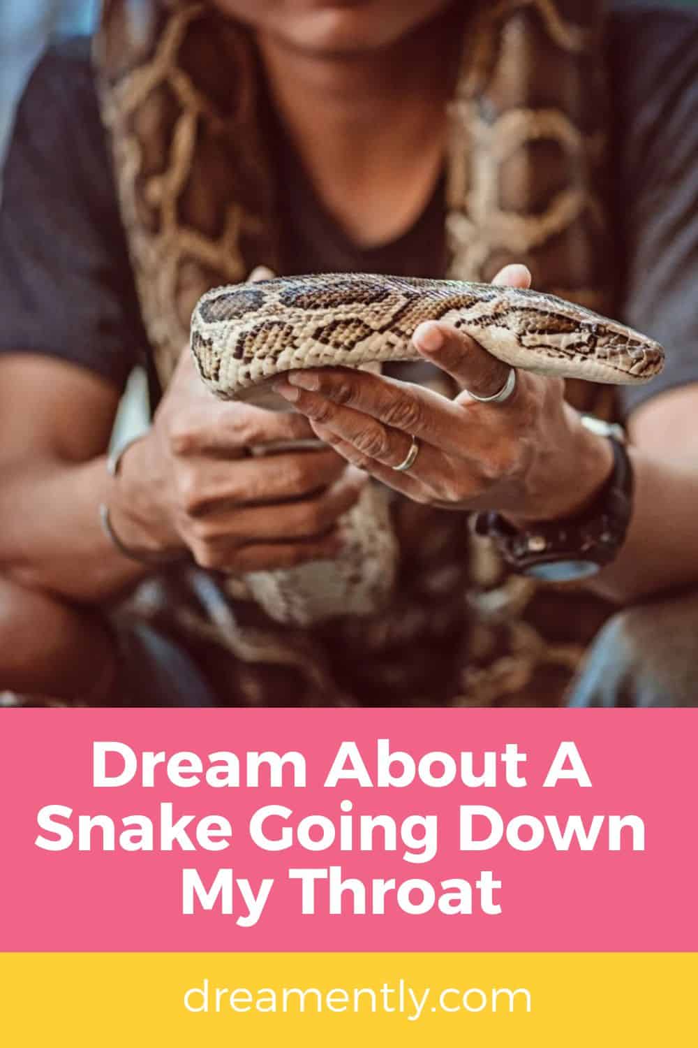 Dream About A Snake Going Down My Throat