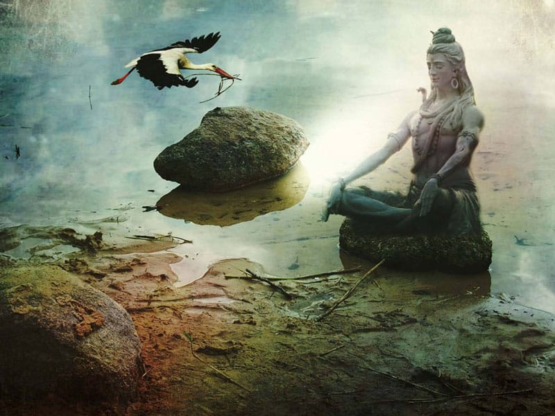 Lord Shiva Dream Several Meaning