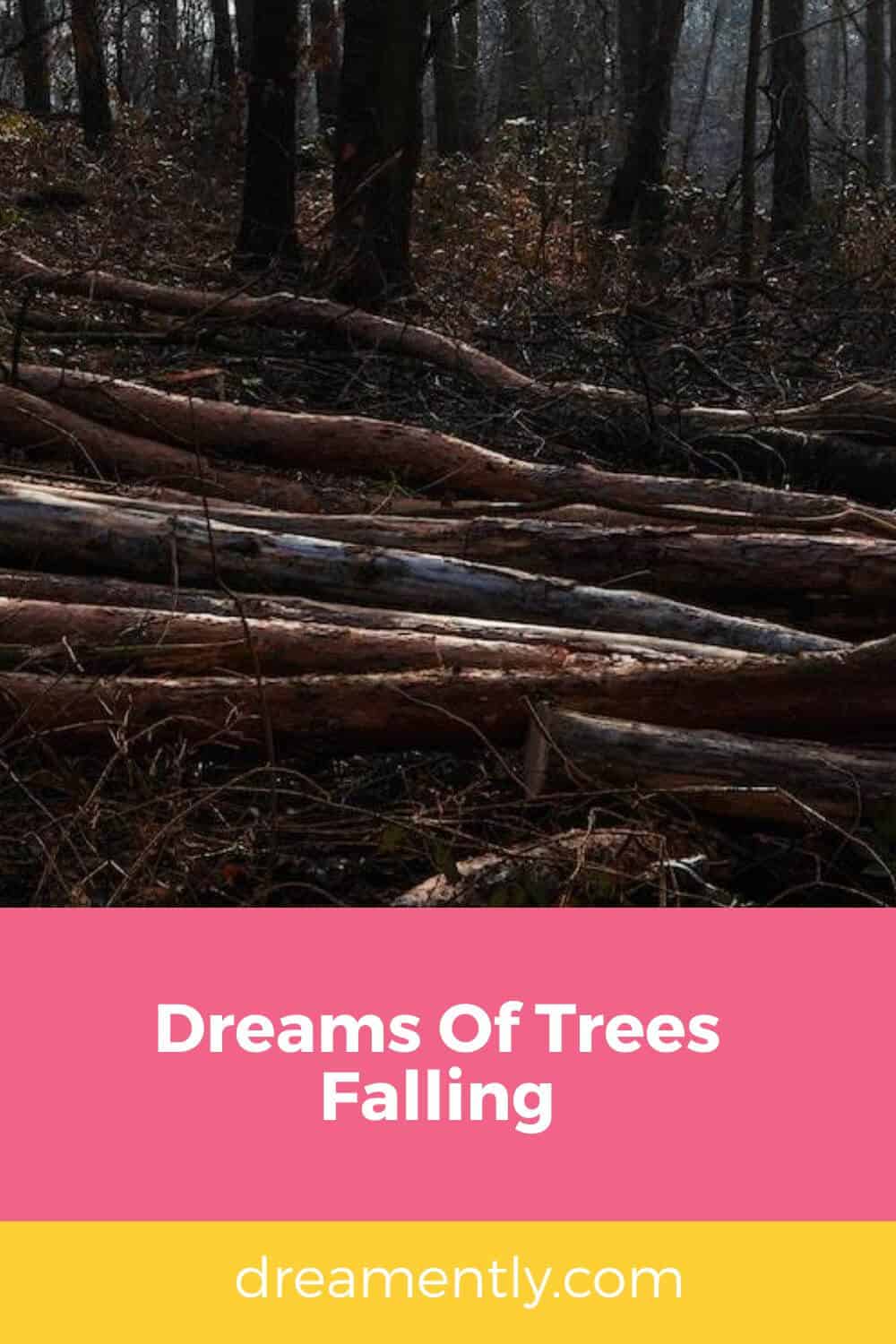 Dreams Of Trees Falling (2)