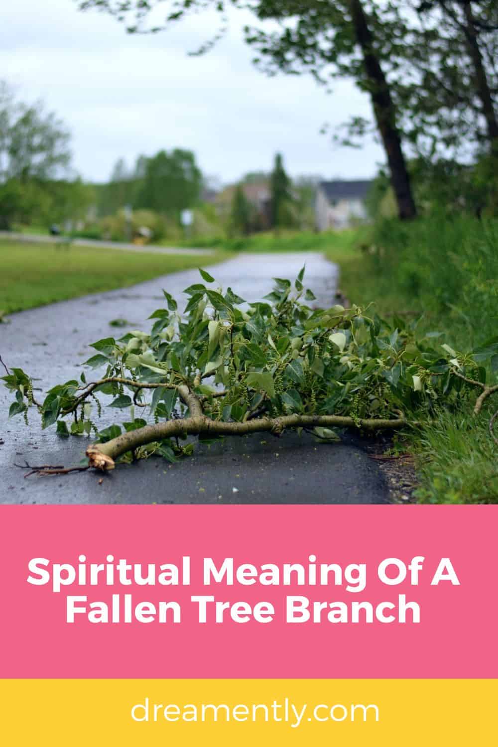 Spiritual Meaning Of A Fallen Tree Branch