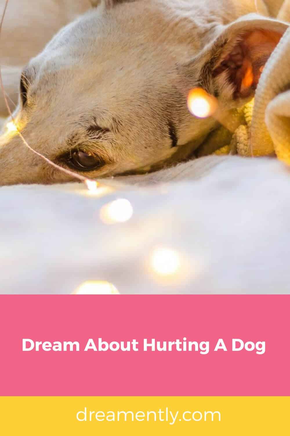 Dream About Hurting A Dog (2)
