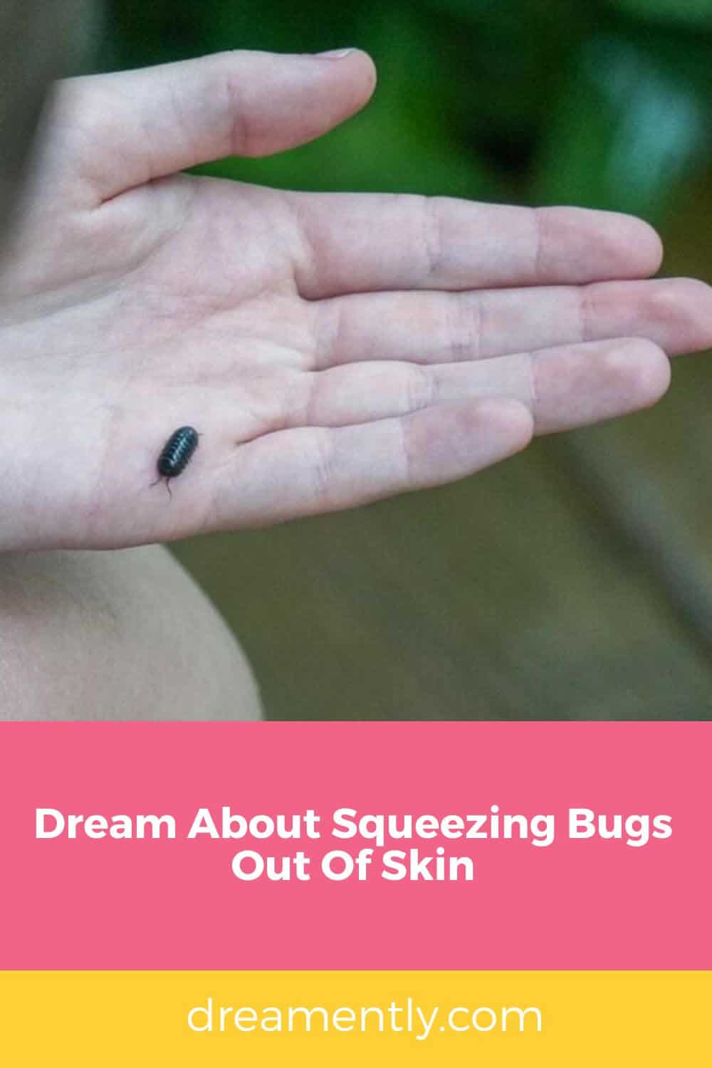 Dream About Squeezing Bugs Out Of Skin (2)