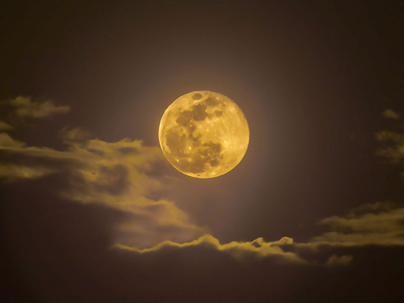 Yellow Moon Mean