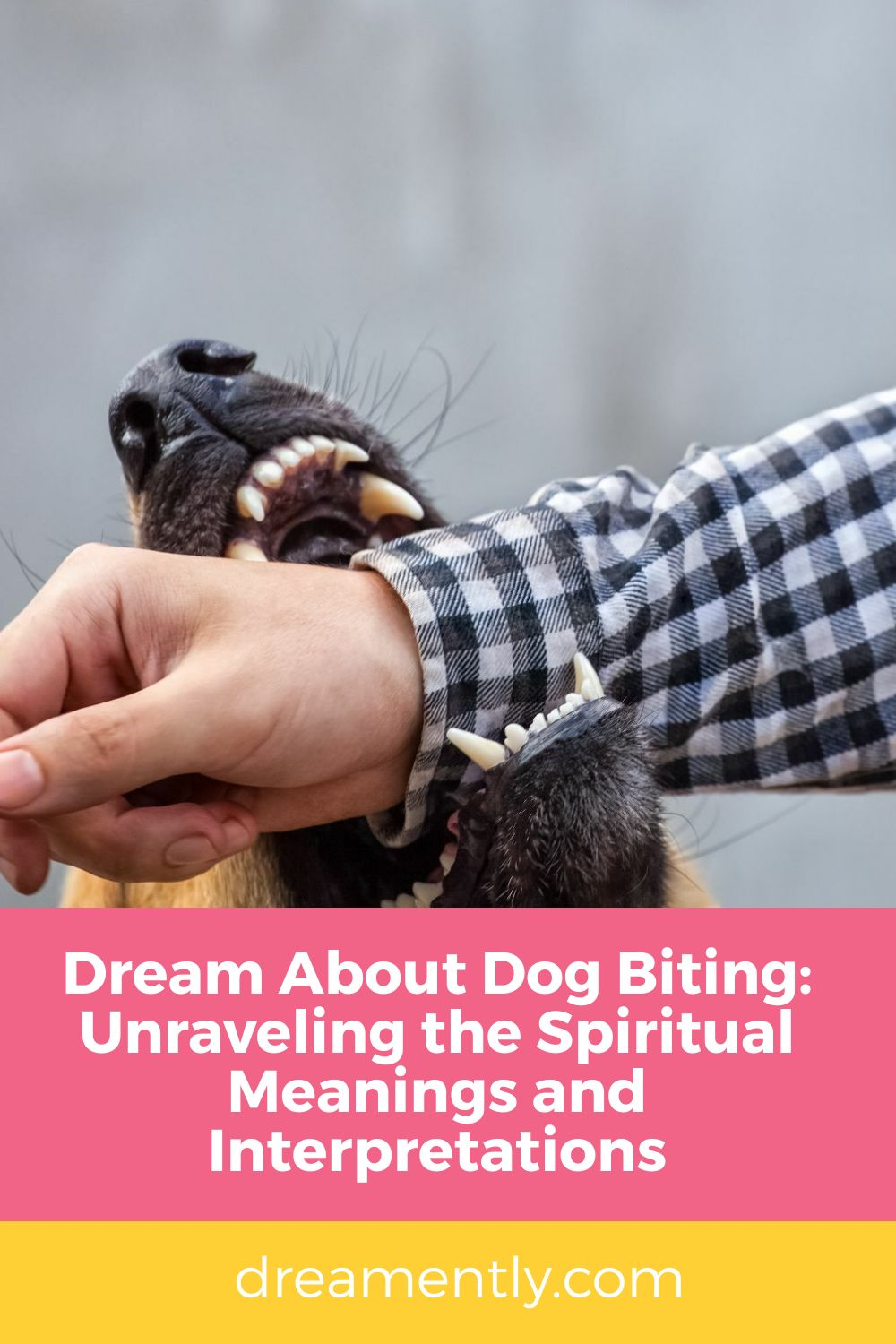 Dream About Dog Biting Unraveling the Spiritual Meanings and Interpretations